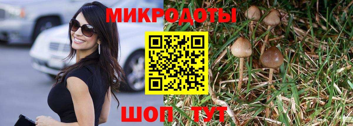 Галлюциногенные грибы Psilocybine cubensis Изобильный