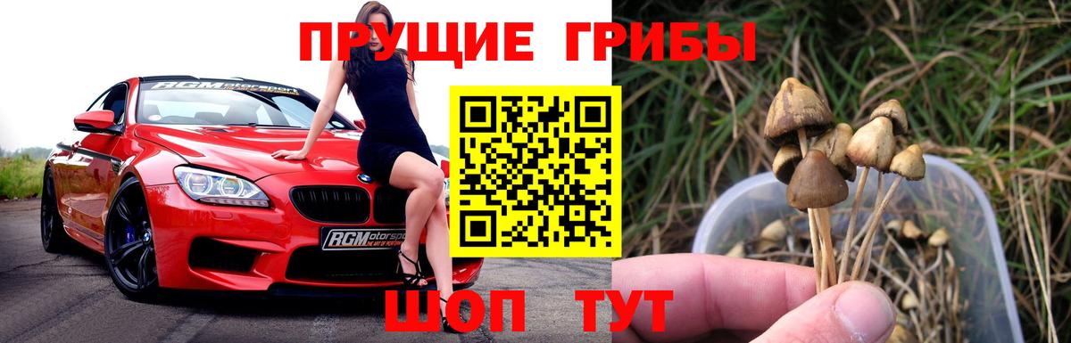 Изобильный  цена   Вход с VPN  Галлюциногенные грибы прущие грибы  Псилоцибиновые грибы GOLDEN TEACHER 